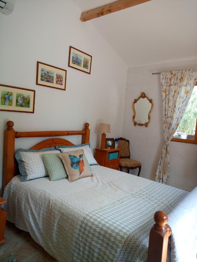 Olive View Villa Puissalicon Екстериор снимка