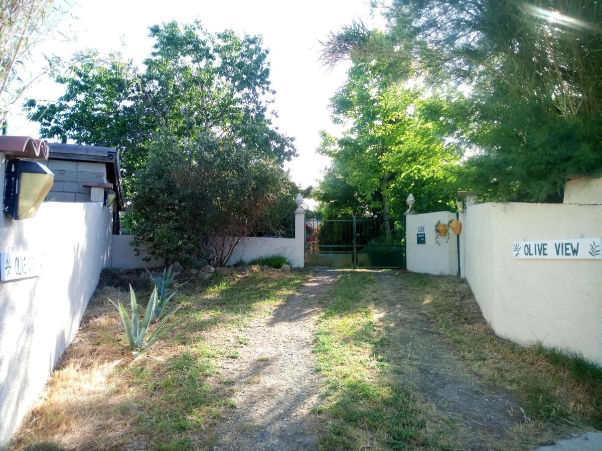 Olive View Villa Puissalicon Екстериор снимка