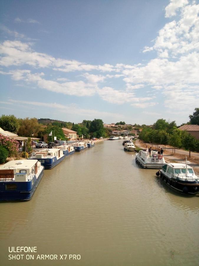 Olive View Villa Puissalicon Екстериор снимка