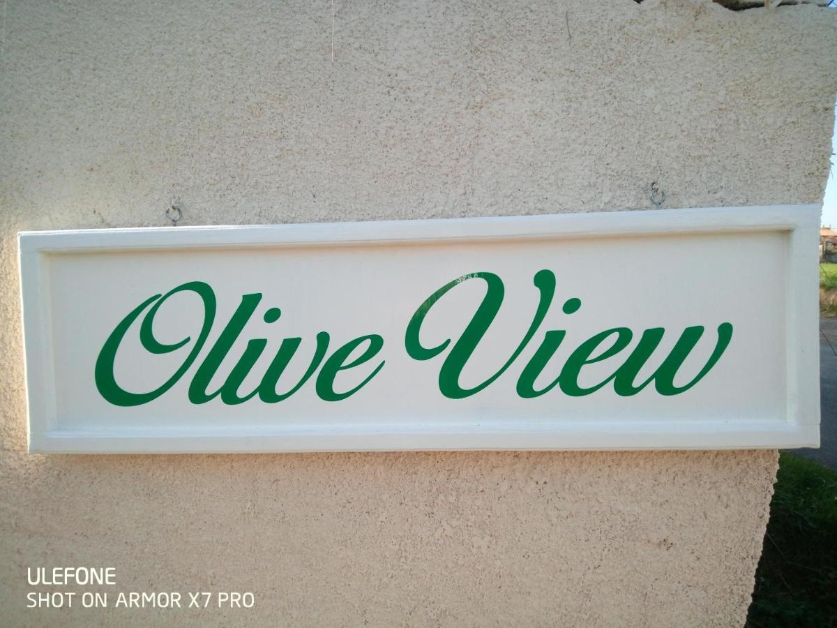 Olive View Villa Puissalicon Екстериор снимка
